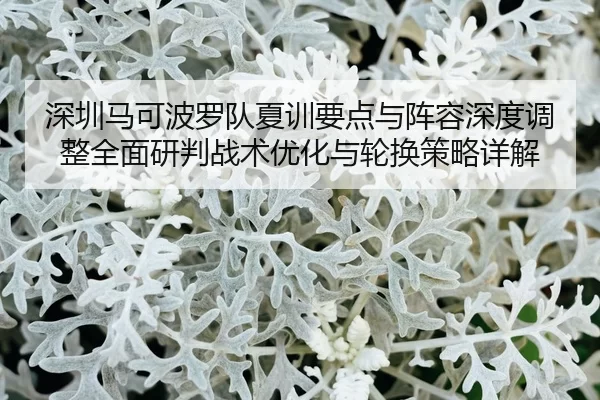 深圳马可波罗队夏训要点与阵容深度调整全面研判战术优化与轮换策略详解