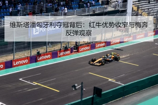 wei-si-ta-pan-xiong-ya-li-duo-guan-bei-hou-hong-niu-you-shi-shou-zhai-yu-mei-ben-fan-tan-guan-cha-2-126.jpg